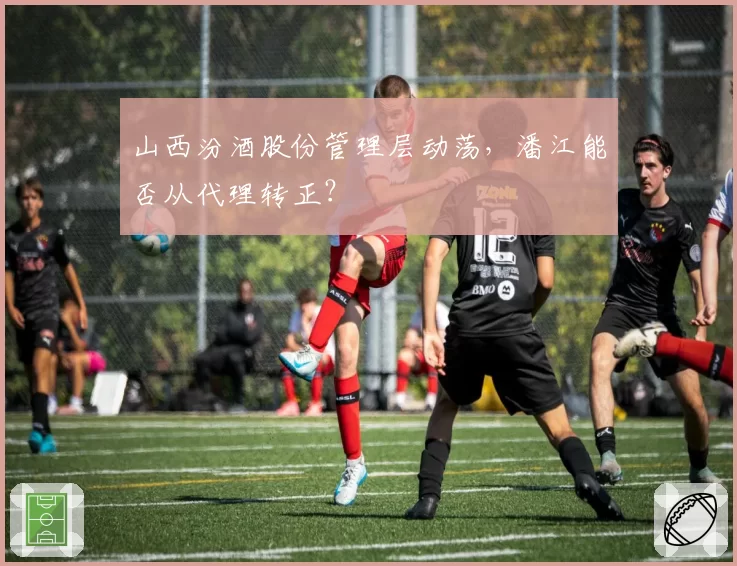 山西汾酒股份管理层动荡，潘江能否从代理转正？