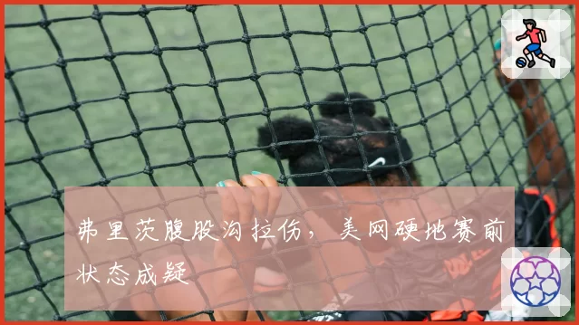 弗里茨腹股沟拉伤,美网硬地赛前状态成疑