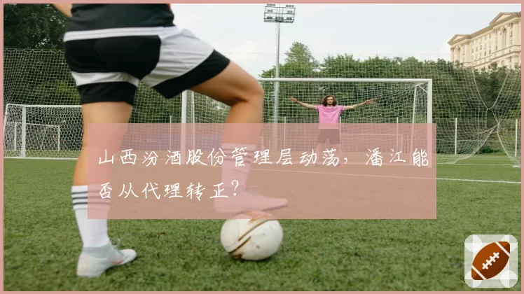 山西汾酒股份管理层动荡，潘江能否从代理转正？