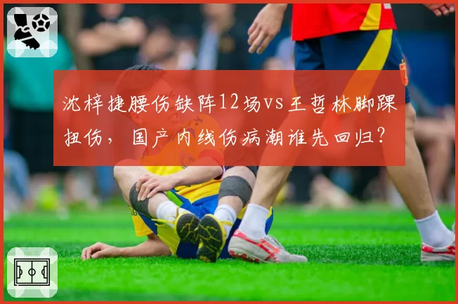 沈梓捷腰伤缺阵12场vs王哲林脚踝扭伤,国产内线伤病潮谁先回归?