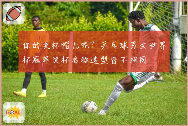 你的奖杯帽儿呢?乒乓球男女世界杯冠军奖杯名称造型皆不相同